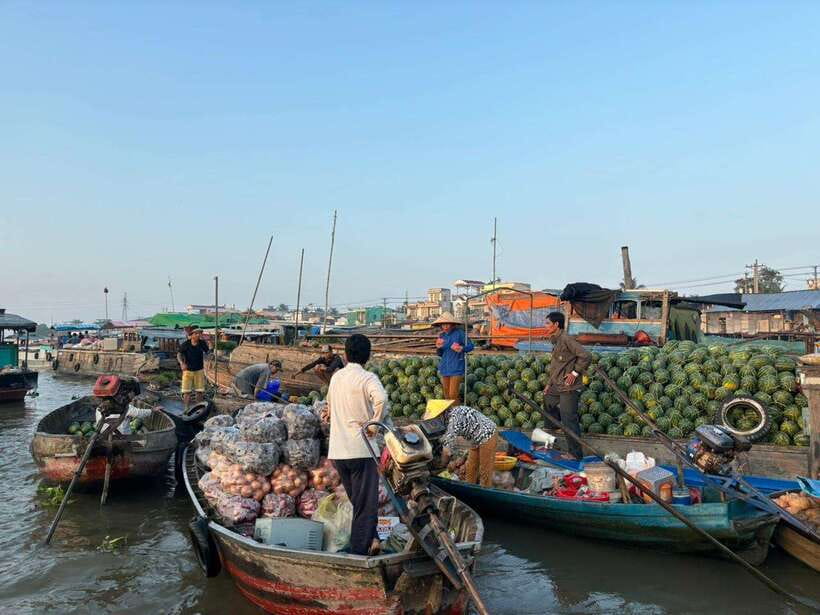 Can Tho: Floating Market, Canal, Cacao Farm & Mekong' Life - Key points at a glance