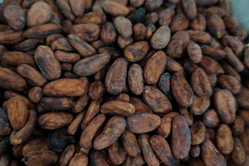 Cancún: Chocolate Making Class and Tasting with Chef - Why Mexican chocolate deserves its own class
