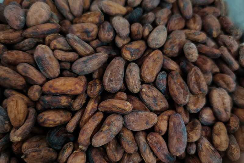 Cancún: Chocolate Making Class and Tasting with Chef - Who will enjoy this experience most?