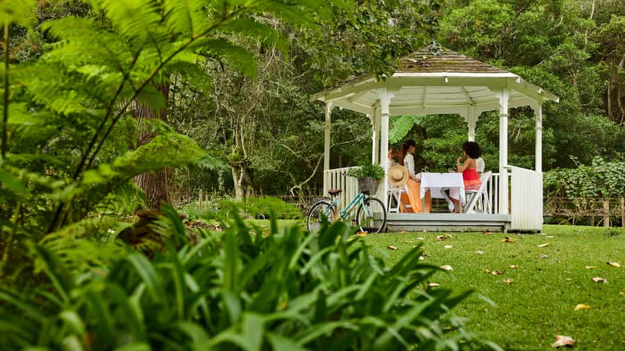 Central Coast: Chocolate and Wine Pairing Experience - Small details that improve the visit