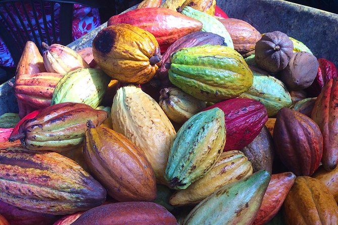 Chocolate and Cobblestones Tour with Taste of San Miguel - Key points to know before booking