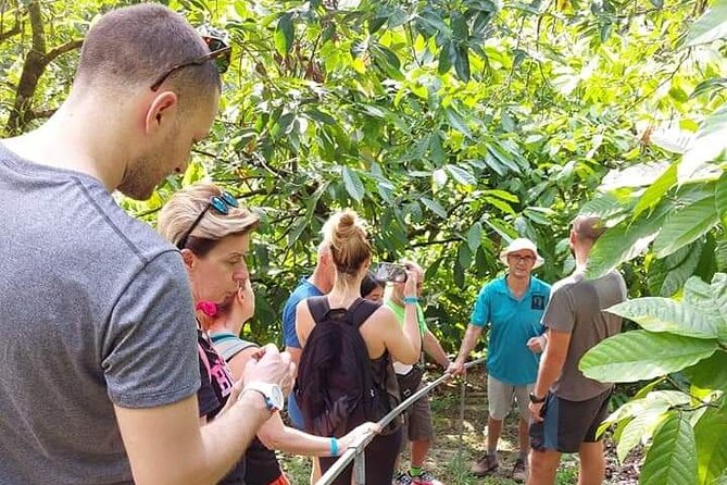 Chocolate and Coffee Tour Farm Don Jorge - Key points at a glance