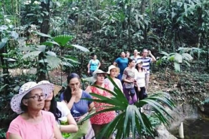 Chocolate and Coffee Tour Farm Don Jorge - From cacao pod to chocolate bar