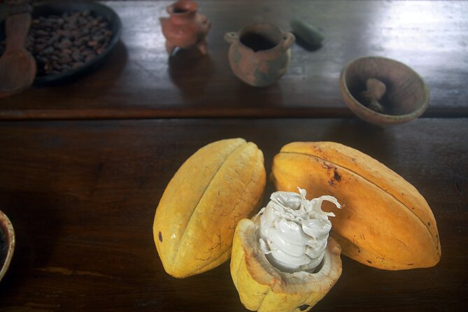 Chocolate and Farm Tour with local Tico family - Reaching Finca La Esperanza from La Fortuna