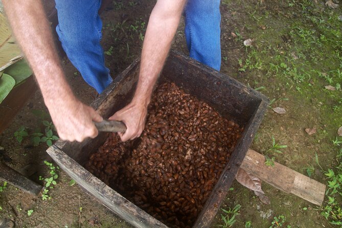 Chocolate and Farm Tour with local Tico family - Tasting cacao fresh from the pod