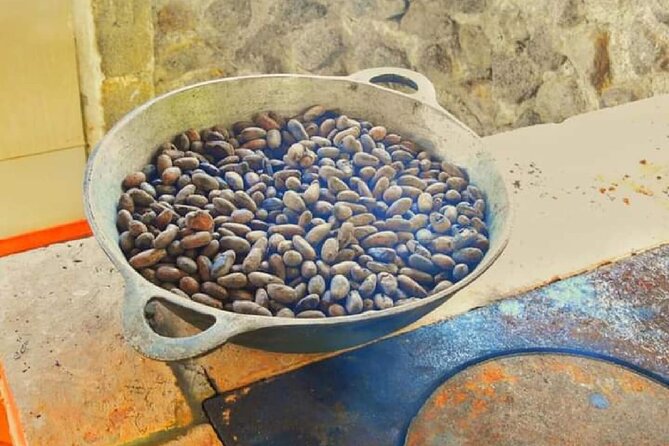 Chocolate and Farm Tour with local Tico family - A fair look at the $45 price