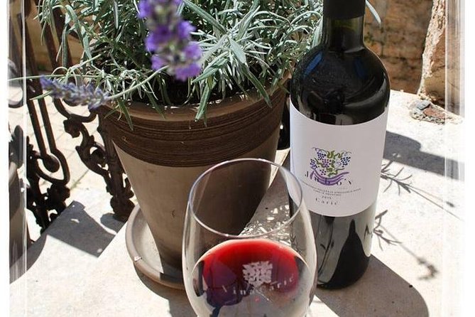 Chocolate and Wine Tasting Small Group Tour from Hvar - Why this tour works for food-minded visitors
