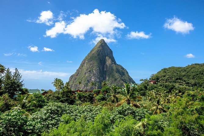 Chocolate Decadence St.Lucia - A full day built around St. Lucia’s best contrasts