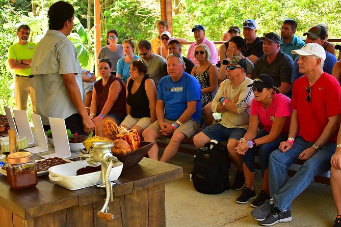Chocolate Experience in Jaco Beach and Los Suenos - Seeing cacao before it becomes chocolate