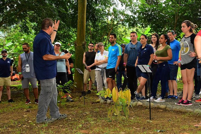 Chocolate Experience in Jaco Beach and Los Suenos - A rainforest walk with one important expectation