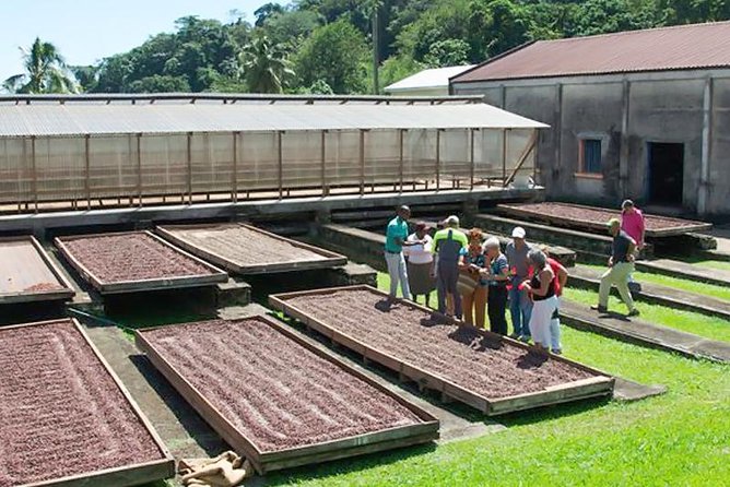 Chocolate Factory Belmont Estate, Annandale Falls & Grand Etang Lake Tour - Key points before you book
