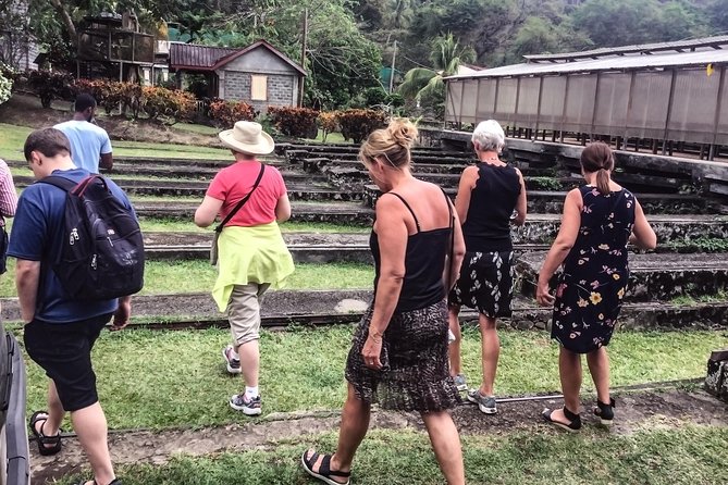 Chocolate Factory Belmont Estate, Annandale Falls & Grand Etang Lake Tour - A small group and a guide can shape the day
