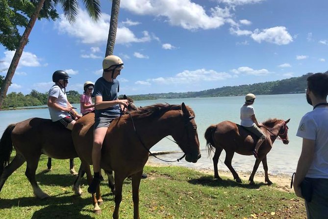 Chocolate Factory Combo Trip with Yumi Tours - Why the $80 price can make sense