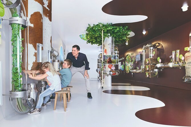 Chocolate factory Individual experience tour - Quick facts before you book