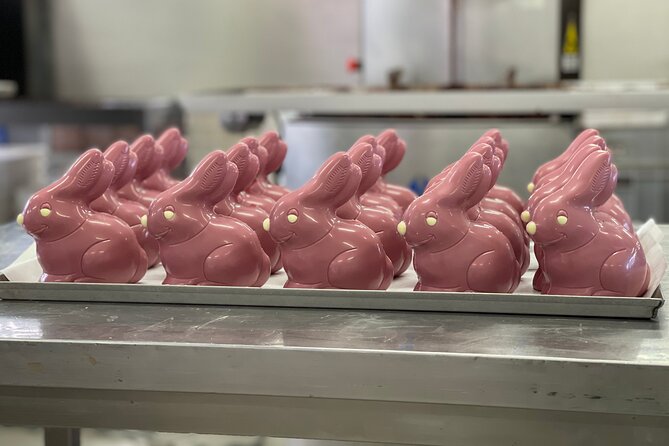 Chocolate Made in Piedmont: Guided Tour with Tastings - Watching the production area in action