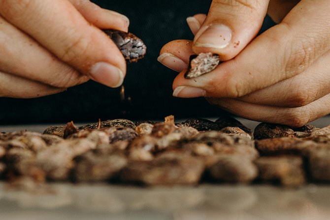 Chocolate Master Class & Taino Concept Store - Tempering, Molds, and Chocolate Bark