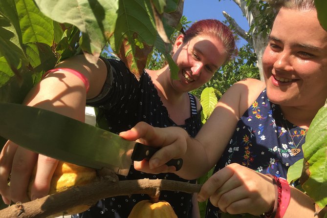Chocolate Tour in Vallarta - The guides make the private format worthwhile