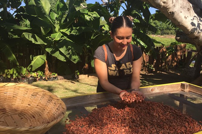 Chocolate Tour in Vallarta - Is $39 a fair price?