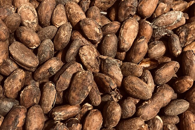 Chocolate Tour Including Hot Chocolate and Samples - Who should book it?