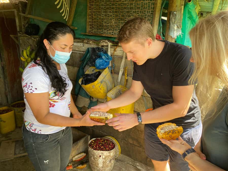 Chocolate tour near the Medellín - Key points at a glance