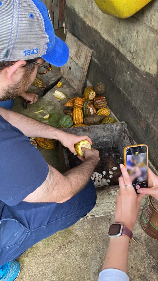 Chocolate tour near the Medellín - From Medellín to Barbosa in a comfortable half-day