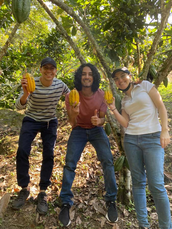 Chocolate tour near the Medellín - Practical clothing and comfort advice