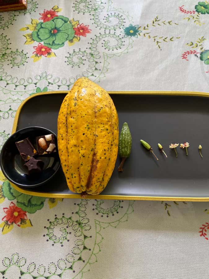 Chocolate tour near the Medellín - Who will enjoy this cacao experience most?