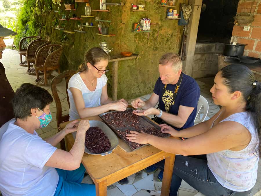 Chocolate tour near the Medellín - A family farm rather than a chocolate factory