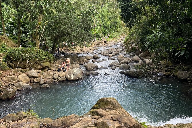 Chocolate, Waterfall, spices and Nature tours! - Grand Etang Lake in Grenada’s rainy forest
