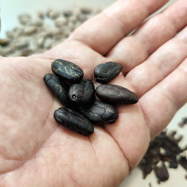 Chocolatier for a day: raw bean to bar chocolate in Modica - Tastings that explain more than a box of chocolates