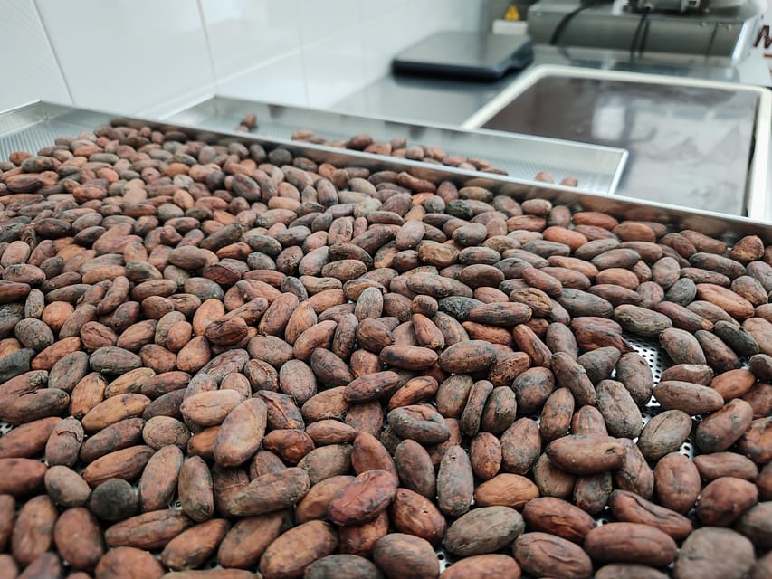 Chocolatier for a day: raw bean to bar chocolate in Modica - The first step: choosing and meeting the cacao bean