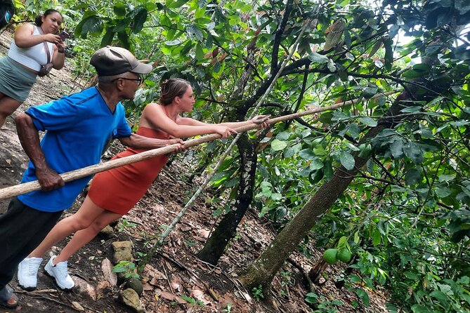 Cocoa & Artisan Chocolate Route with an Historical Tour in Puerto Plata City - Key Points Before You Book