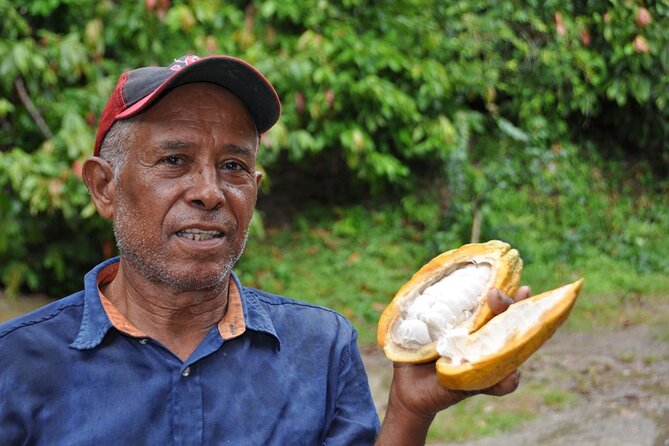 Cocoa & Artisan Chocolate Route with an Historical Tour in Puerto Plata City - The Ride to Hacienda Cufa