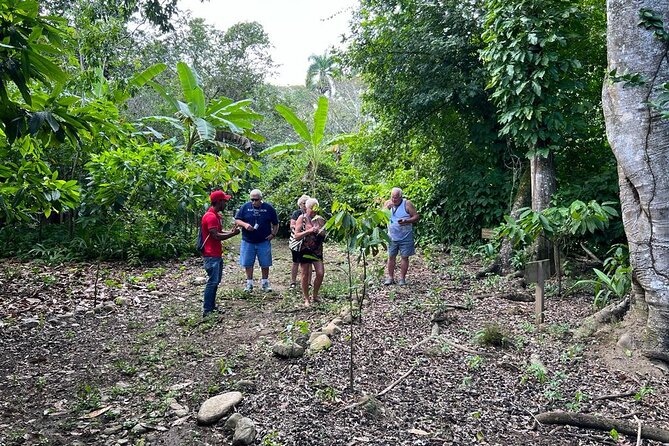 Cocoa & Artisan Chocolate Route with an Historical Tour in Puerto Plata City - Making Your Own Chocolate