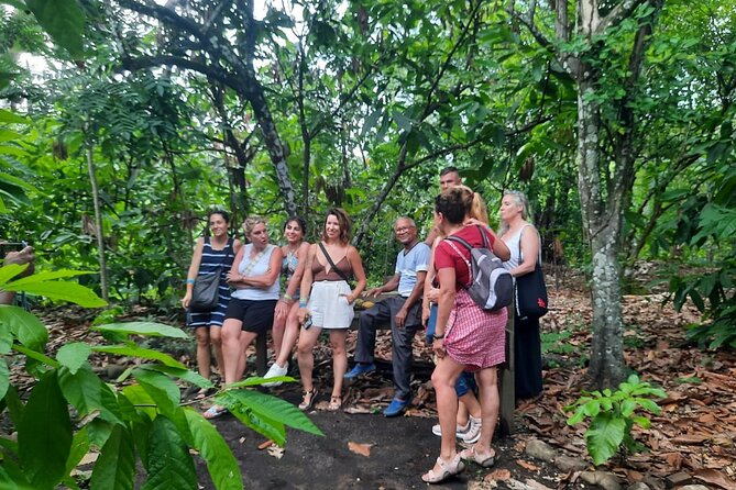 Cocoa & Artisan Chocolate Route with an Historical Tour in Puerto Plata City - Walking the Cacao Path at Hacienda Cufa