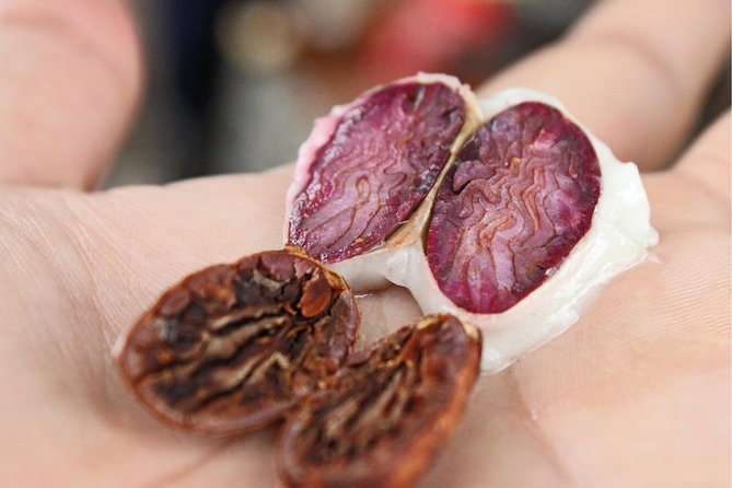 Cocoa farm and Chocolate making! - Walking through the cacao trees
