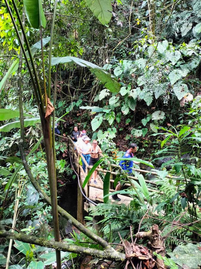 Cocoa Tour - San Rafael Antioquia from Medellín - Who will enjoy this private farm day?