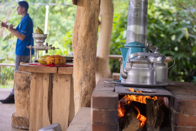 Coffee & Chocolate Tour+Sloths Park & Llanos de Cortez Waterfall - Coffee and cacao in Bijagua