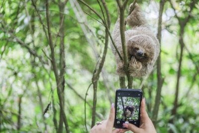 Coffee & Chocolate Tour+Sloths Park & Llanos de Cortez Waterfall