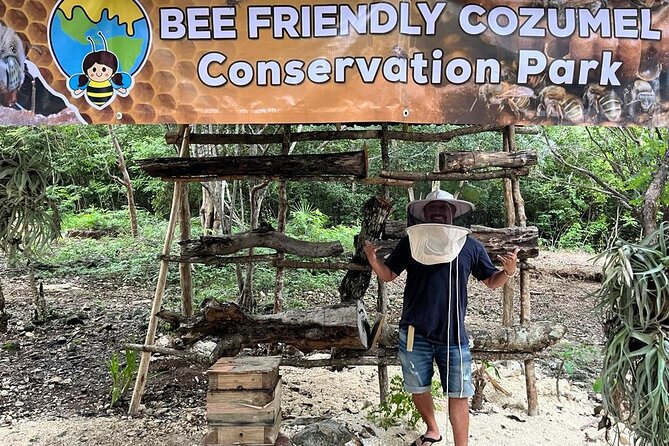 Cozumel: Hands-On Chocolate, Tortilla, Salsa & Honey Experience - Key points at a glance