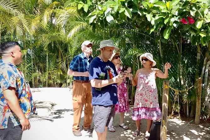 Cozumel: Hands-On Chocolate, Tortilla, Salsa & Honey Experience - Private transport keeps the day comfortable