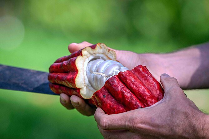 Craft Chocolate Tasting and Farm Experience on the Big Island - Five things to know before you book