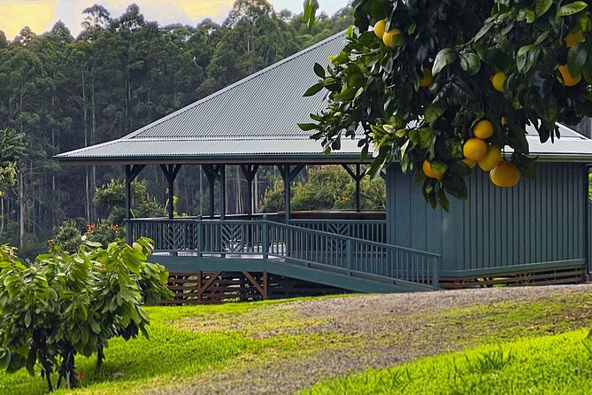 Craft Chocolate Tasting and Farm Experience on the Big Island - The story of chocolate from Mesoamerica to Hawaii