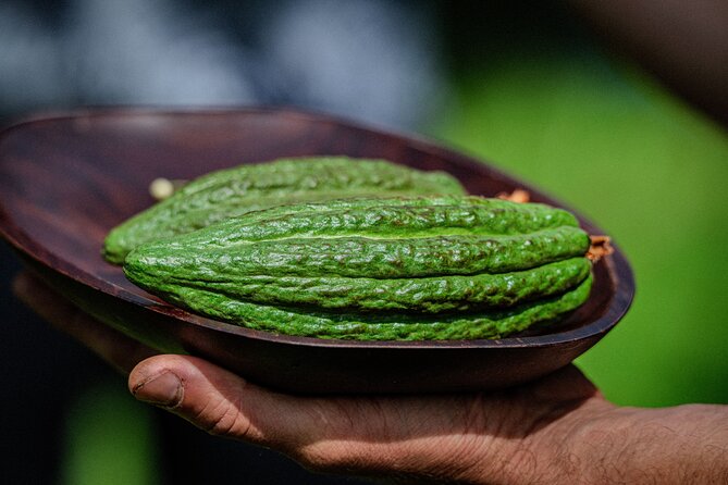 Craft Chocolate Tasting and Farm Experience on the Big Island - Why the $135 price may be worth it