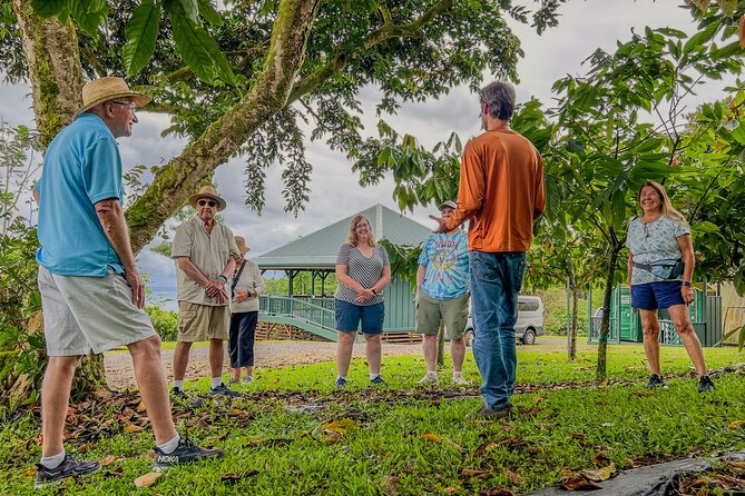 Craft Chocolate Tasting and Farm Experience on the Big Island - Planning the day around Hilo