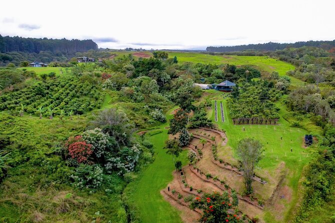Craft Chocolate Tasting and Farm Experience on the Big Island - Who will enjoy this most