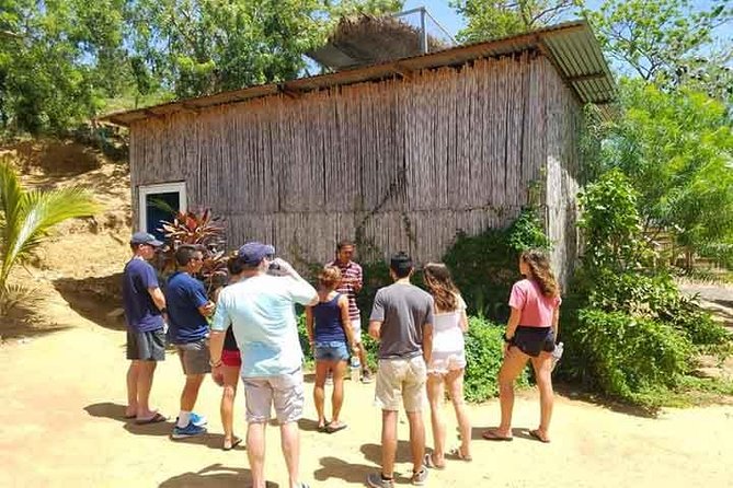 Cruise Ship Family Chocolate Factory, Sloths & Monkeys, Beach, Transportation - Why the private format matters for families