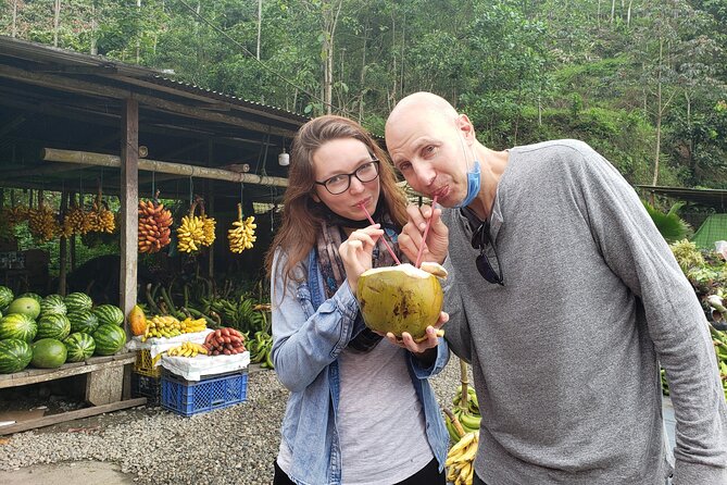 Cuenca to Guayaquil one-way tour with Cajas Park and a Cacao Farm visit - Laguna La Toreadora and the Polylepis forest