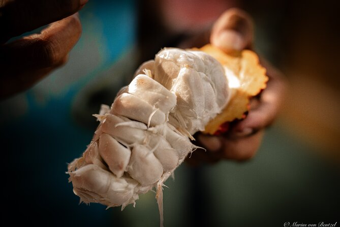 Day Trip Churute Howler Monkey Observation and Chocolate Making - Is $276 per person a fair price?