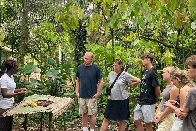 Day Trip Near Accra - Visit Aburi Gardens, Waterfall & Cocoa Farm - Aburi Botanical Gardens: a calm first stop